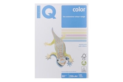 Kopierpapier A4 80g pastell 100 Stück