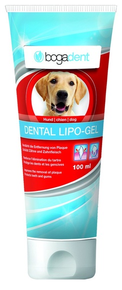 bogar Zahnreinigung Dental Lipo Gel Hund