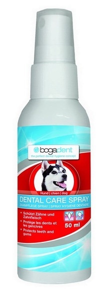 bogar Zahnreinigung Dental Care Spray