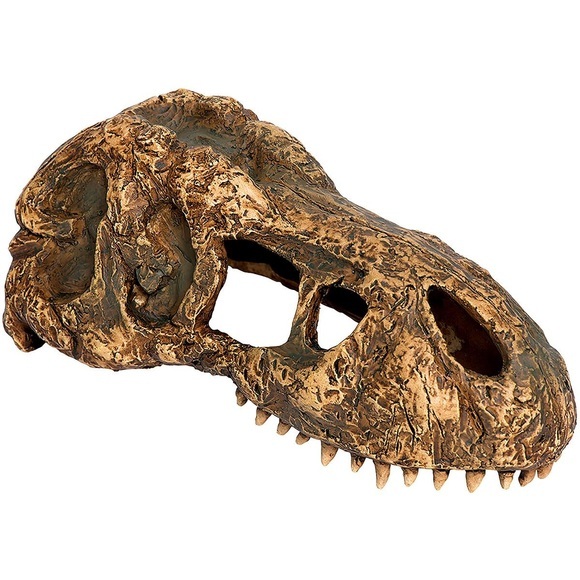 Exo Terra T-Rex Skull, 15x7x7cm