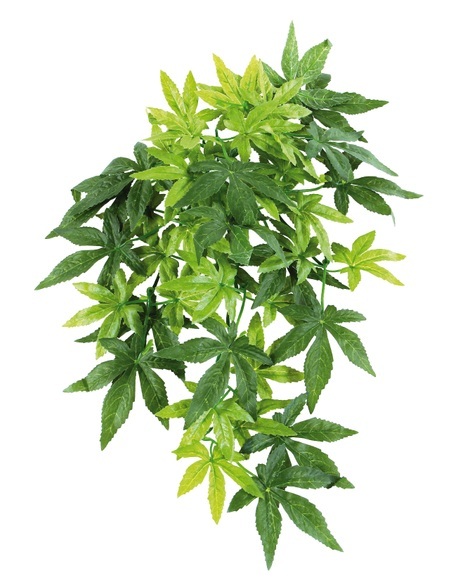 Amazonas Repti Fantasy Plant T 007 40cm