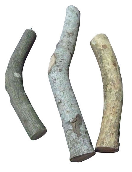 swisspet Holzsitzstange natur, L=45cm