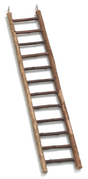 Sittichleiter, 12 Stufen, 50cm