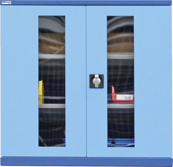 Sichtfenstertüren hellblau NCS S 1060-R80 B Höhe 1000 mm, Breite 1005 mm