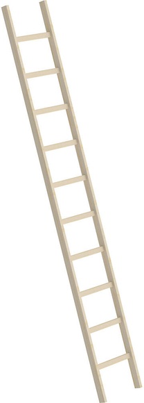 Holz-Anlegeleiter mit Sprossen 10 Sprossen