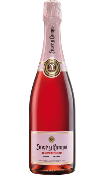 Juvé y Camps Brut Rosé Cava Brut Reserva