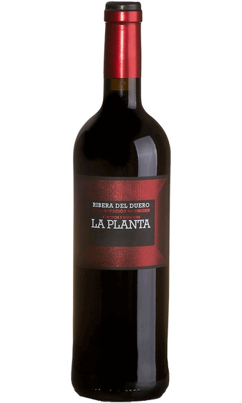 Bodegas Arzuaga Navarro La Planta 2017