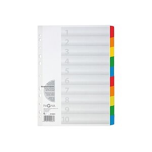 PAGNA Register Karton A4 31001-08 weiss 10-teilig