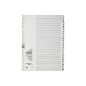 PAGNA Register Karton A4 31008-08 weiss 1-31
