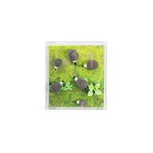 Trendform Haftmagnet HEDGEHOG Grau, 6