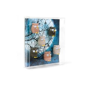 Trendform Haftmagnet OWL Mehrfarbig