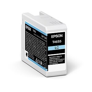 Epson Tintenpatrone T46S500 light cyan