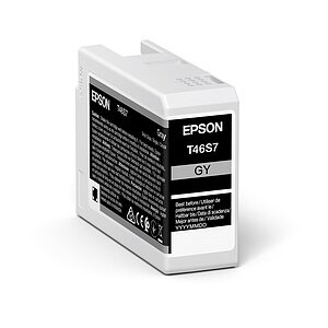 Epson Tintenpatrone T46S700 gray