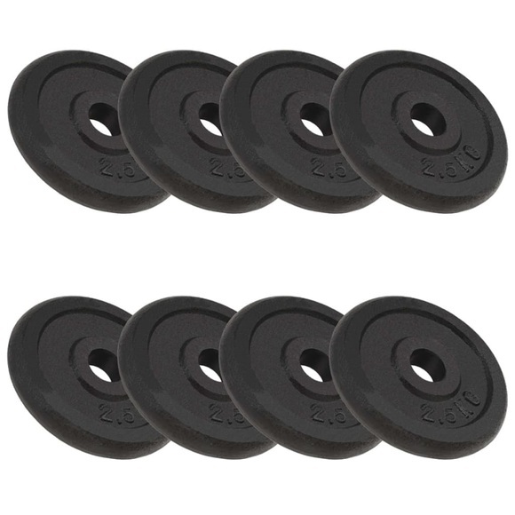 Hantelscheiben 8 Stk. 20 kg Gusseisen