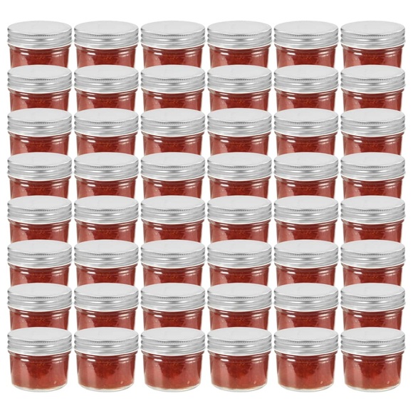 vidaXL Marmeladengläser mit Silbernen Deckeln 48 Stk. 110 ml