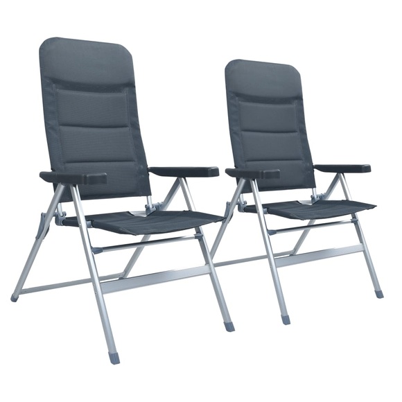 vidaXL Garten-Liegestühle 2 Stk. Aluminium Grau