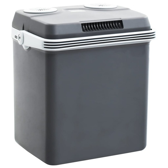vidaXL Tragbare Thermoelektrische Kühlbox 32 L 12V 230V A++