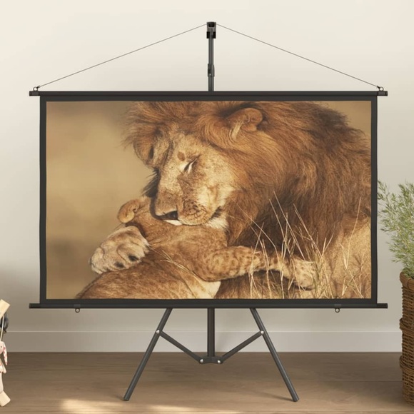 vidaXL Beamer-Leinwand mit Stativ 60