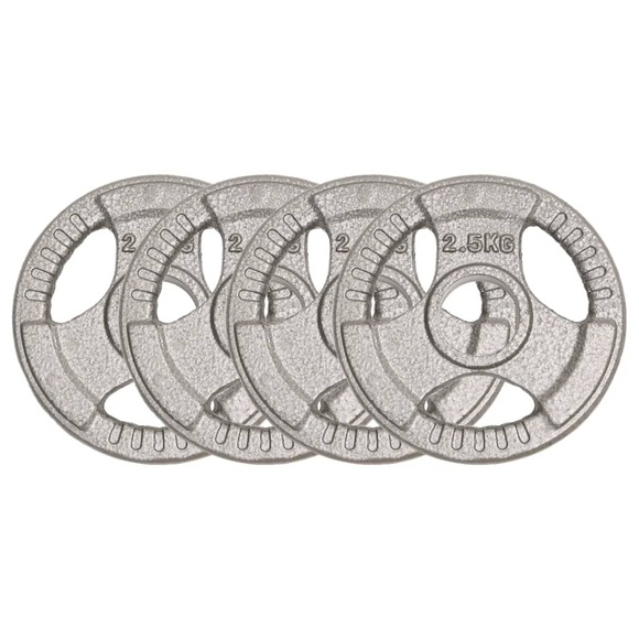 vidaXL Olympische Hantelscheiben 4 Stk. 10 kg Gusseisen