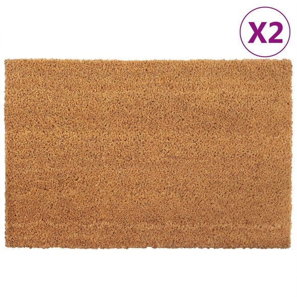 vidaXL Fußmatten 2 Stk. Natur 40x60 cm Kokosfaser Getuftet