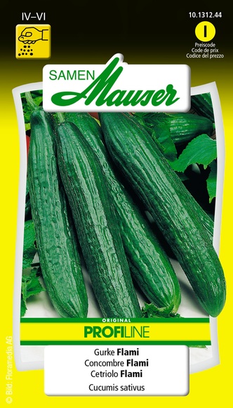 Gurke Flami