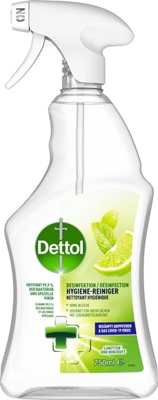 Desinfektion Reiniger Limette-Minze