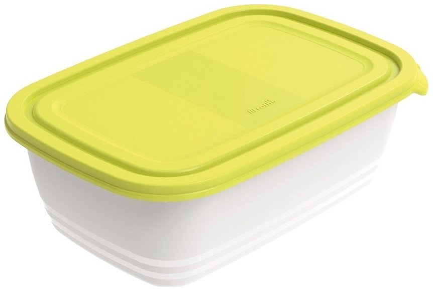Rotho Tiefkühl Dose 2 x 1,9l