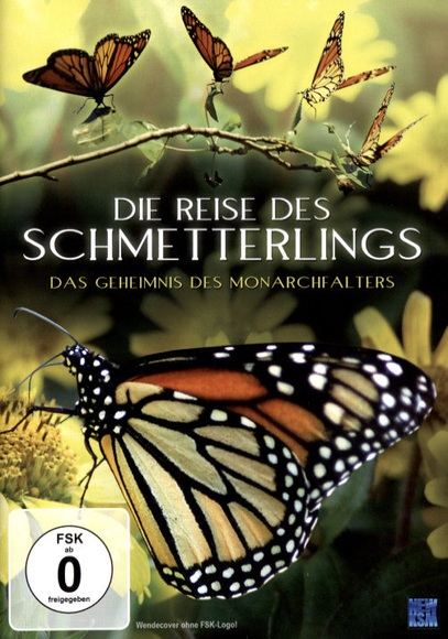 Die Reise des Schmetterlings, 1 DVD