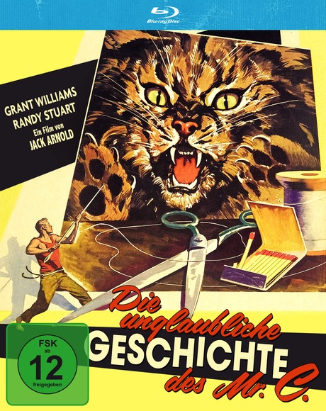 Die unglaubliche Geschichte des Mr. C, 1 Blu-ray