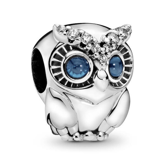 Pandora Charm ONE Size