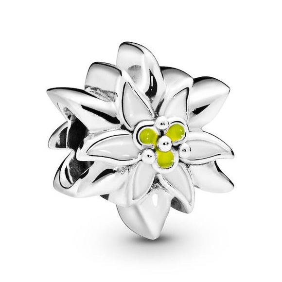 Pandora Charm ONE Size