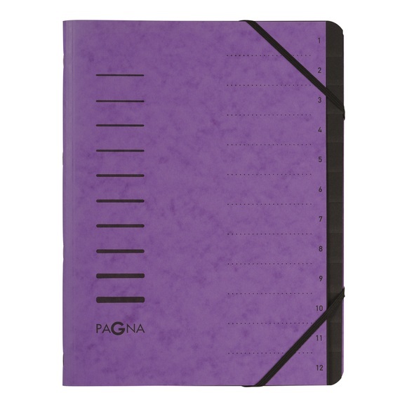 Pagna 40059-10 folder A4 Purple