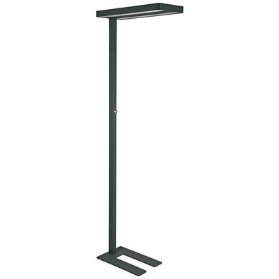 Maul LED-Stehleuchte, MAULjaval, schwarz, dimmbar, 8258490
