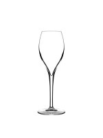 Opale Champagnerglas 16cl