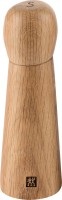diverse Salzmühle Zwilling