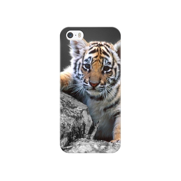iPhone SE / 5 / 5S Hardcase Hülle - Baby Tiger