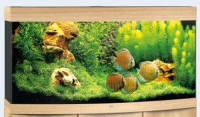 Juwel Aqua. Vision 260,121x46x64cm, hell