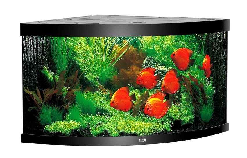 Juwel Aqua. Trigon 350, 123x87x65cm sw
