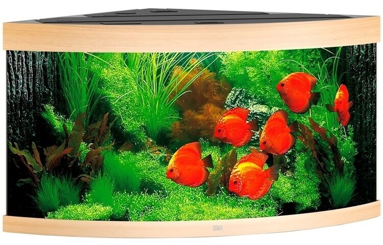 Juwel Trigon Aqua. 350,123x87x65cm, hell