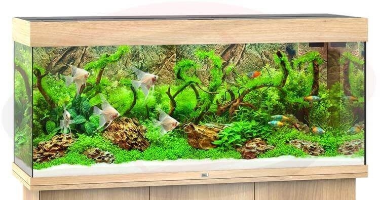 Juwel Aquarium Rio 240, 121x41x55cm,hell