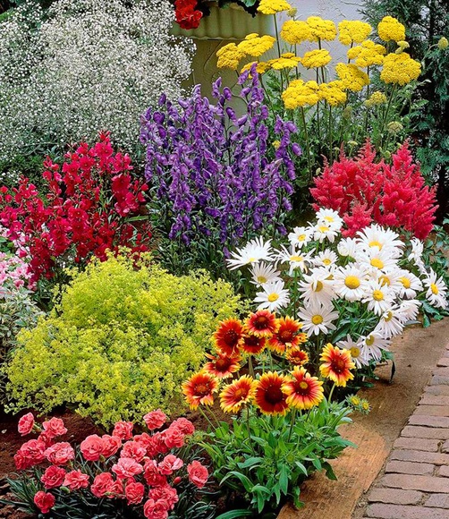 Bunter Staudengarten (9 Pflanzen)