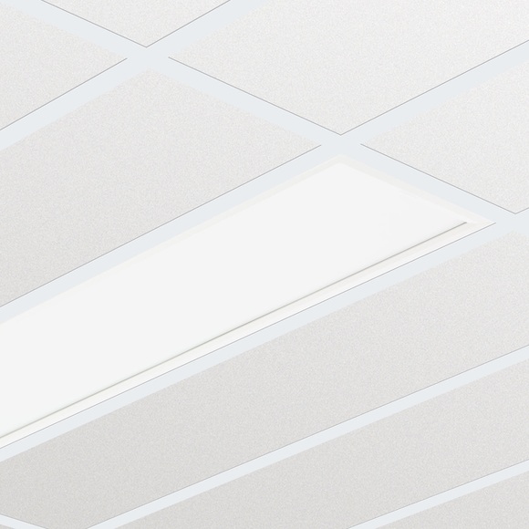 Philips LED Panel CoreLine RC132V G4 30x120cm 4000K 3600lm UGR <19 | Dali Dimmbar - Kaltweiß - Ersatz für 2x36W