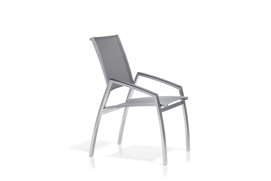 Todus Alcedo Sessel