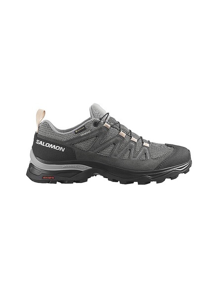 Salomon X Ward Leather GTX Outdoor- und Wanderschuh für Damen grau, 37.5