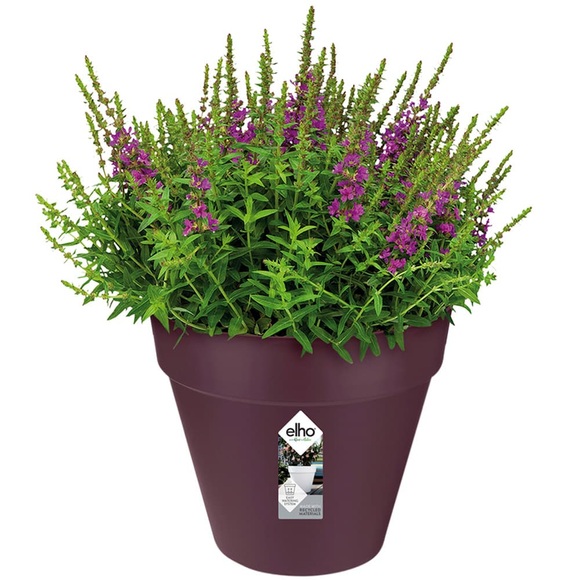 Blumentopf Maulbeere matt 19,3x17,5cm 3L