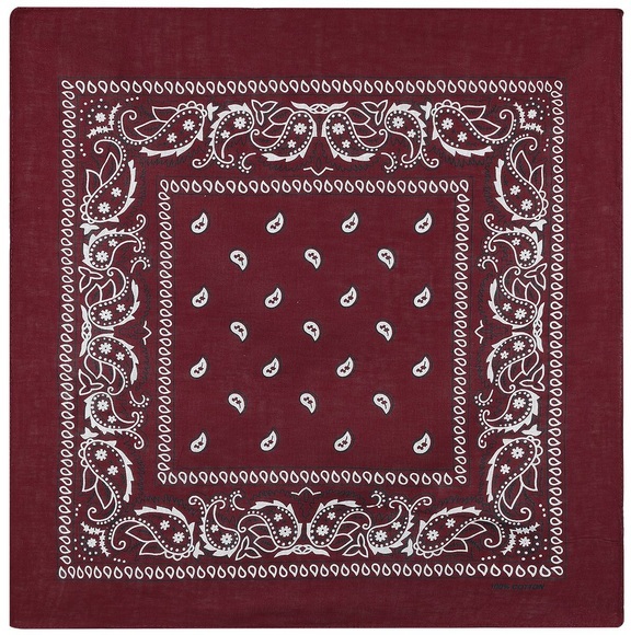 Rock Daddy Bordeaux Paisley Bandana bordeaux