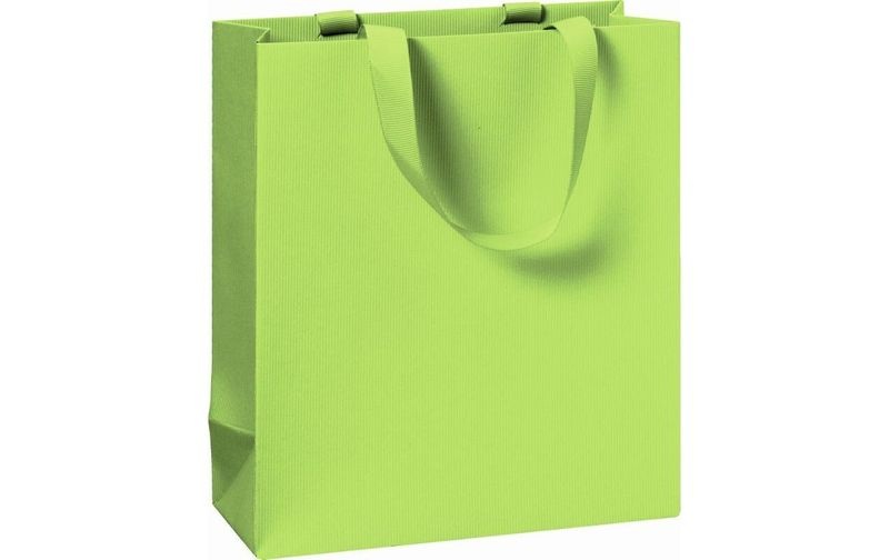 Stewo Geschenktasche One Colour 18 x 8 x 21 cm, Hellgrün