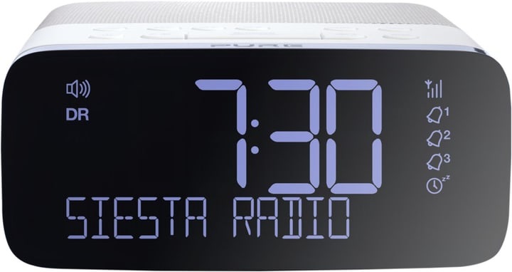 Pure Siesta Rise - Grau Radiowecker