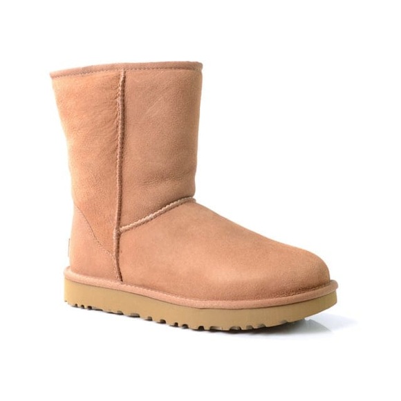 UGG Classic Short Damen Boot Cognac
