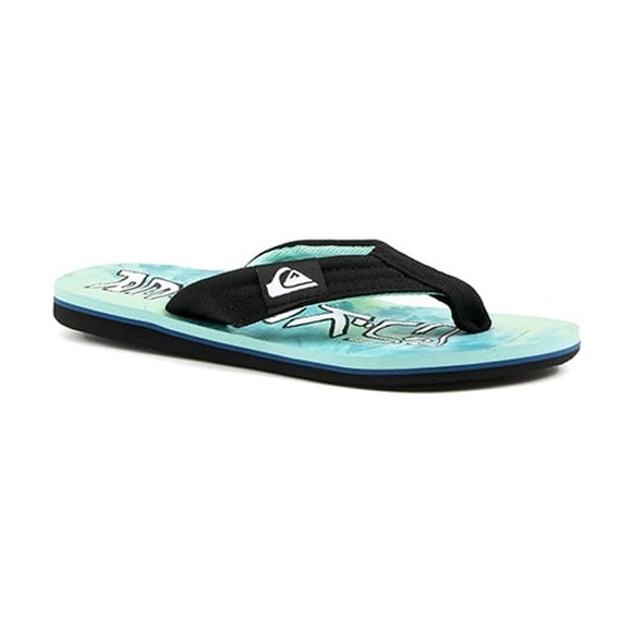 Quiksilver Molokai Layback-31 31
